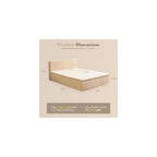 Queen Boneless Bed & Frame Mattress and Headboard, No Assembly