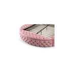 Elizabeth 91 x 101 Velvet Upholstered Queen Bed in Pink