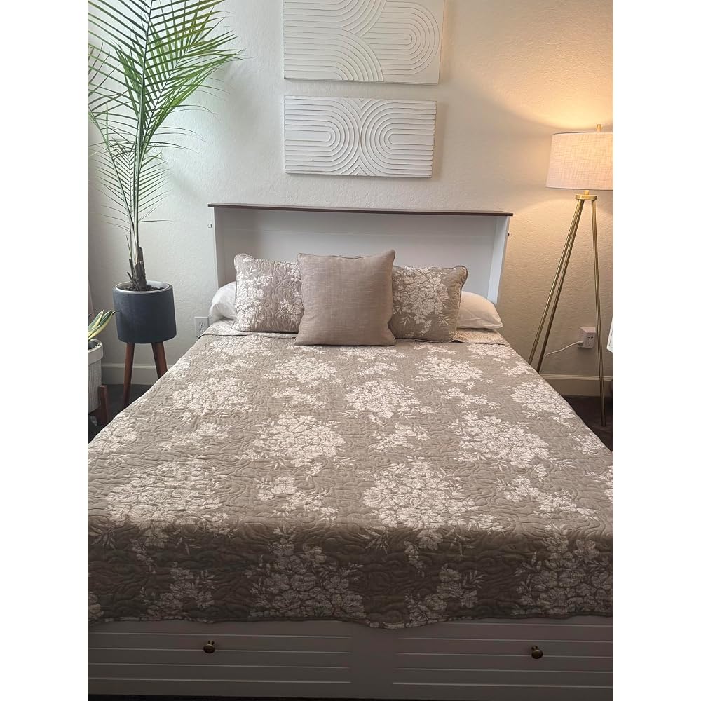Queen Murphy Bed with Charging Station, Cabinet Beds with Storage