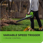 Greenworks 40V Lawn Care Combo Kit, Trimmer &amp; Blower for Edging &amp; Leaf Cleanup, 2.0Ah Battery &amp; Charger (Gas-Free Yard Duo)